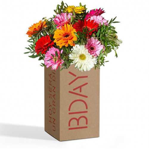 Pack Bouquet Gerbera Bday